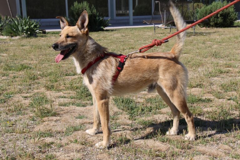 multimedia-foto51793-788-1