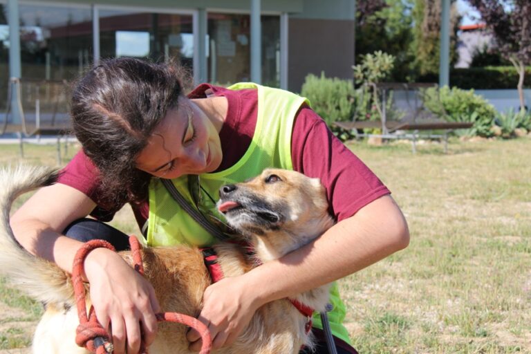 multimedia-foto51795-788-1