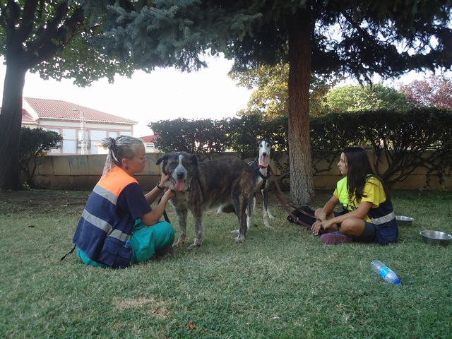 multimedia-foto51829-290-3