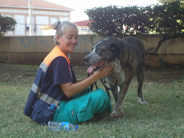 multimedia-foto51830-290-3