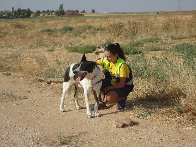 multimedia-foto51839-506-3