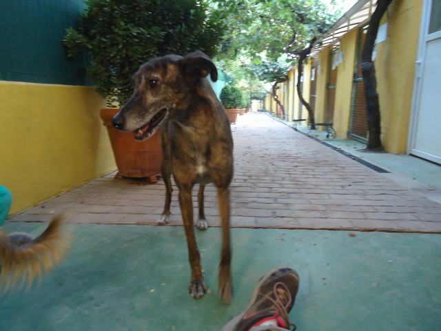 multimedia-foto51840-536-3