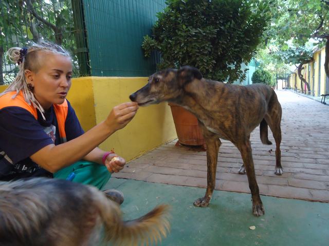 multimedia-foto51841-536-3