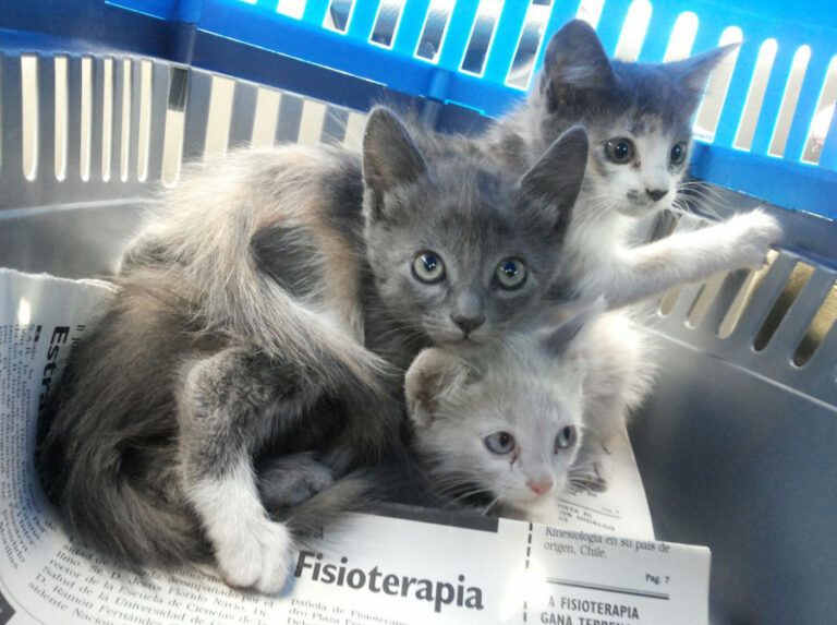 multimedia-foto51878-33-1