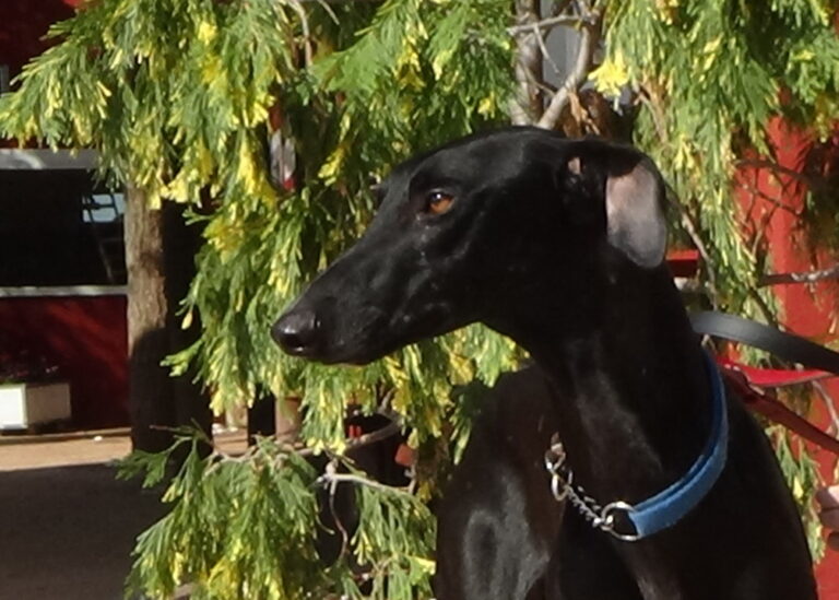 multimedia-foto51908-24-1