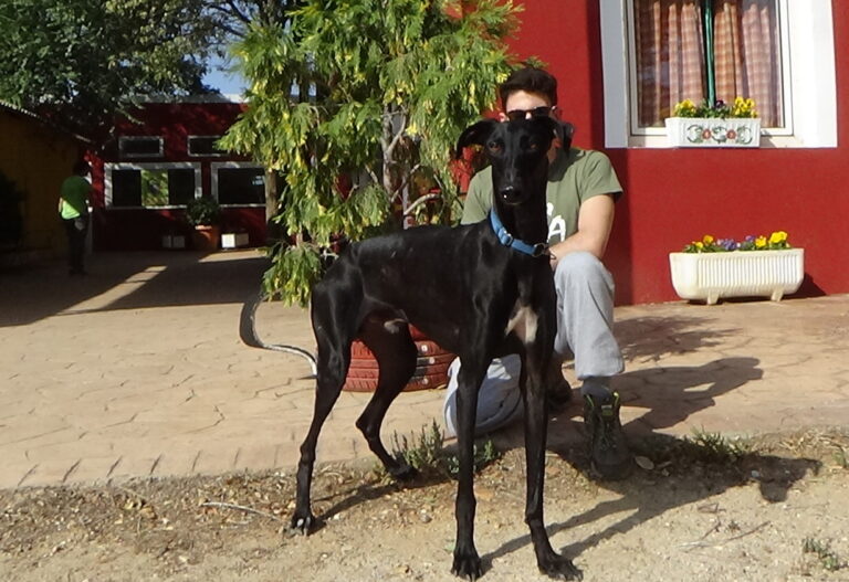 multimedia-foto51911-25-1