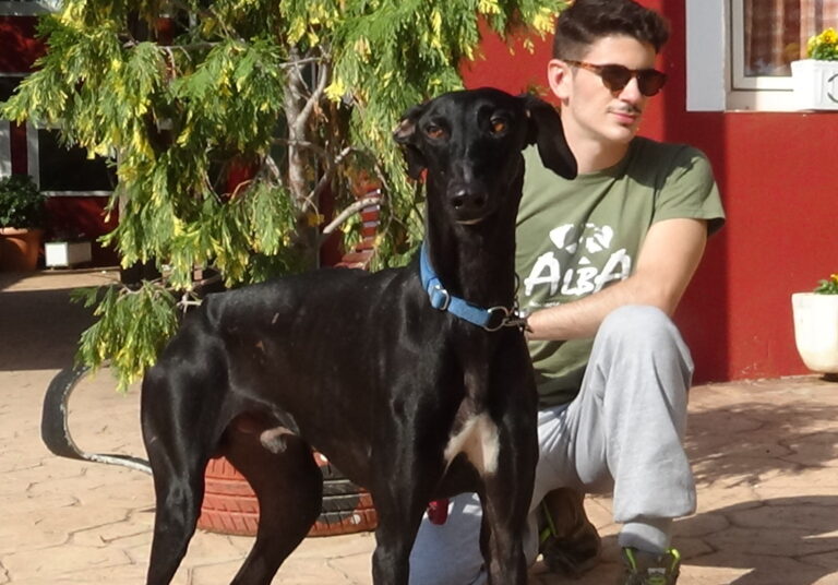 multimedia-foto51914-26-1