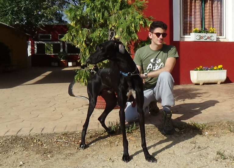 multimedia-foto51915-26-1