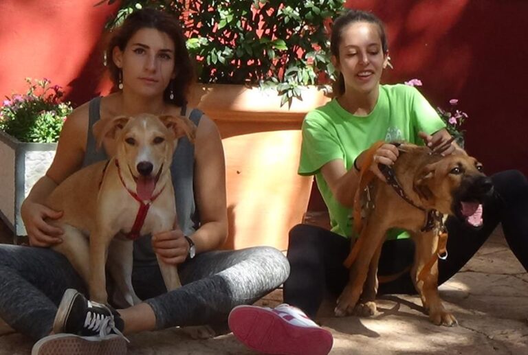 multimedia-foto51925-374-1