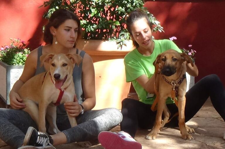 multimedia-foto51926-374-1