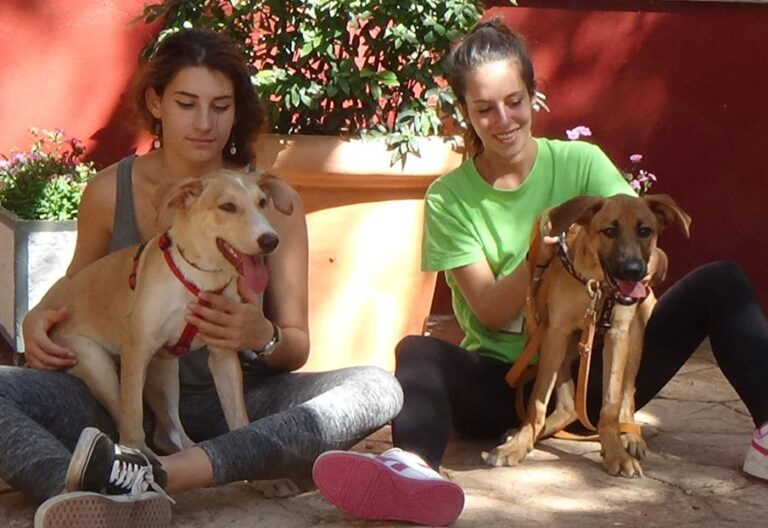 multimedia-foto51927-374-1