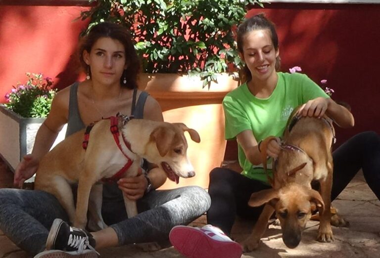 multimedia-foto51928-375-1