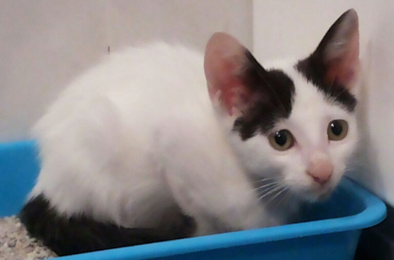 multimedia-foto51929-59-1