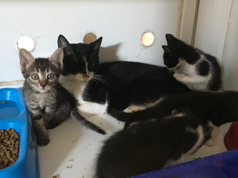 multimedia-foto51964-704-1