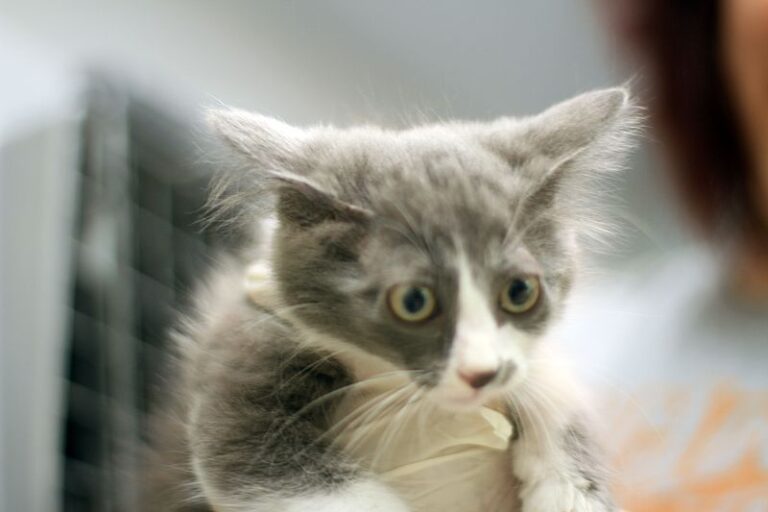 multimedia-foto51995-308-1