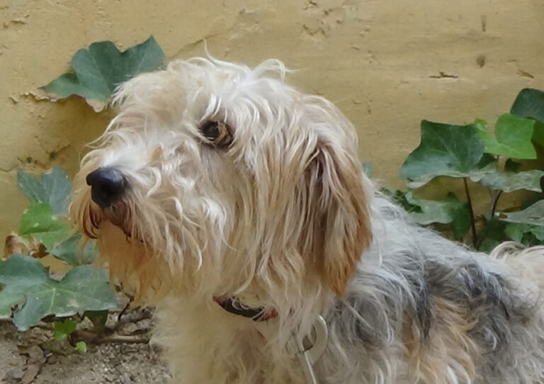 multimedia-foto52017-24-1