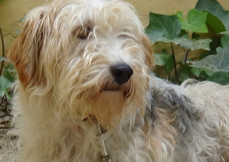 multimedia-foto52018-25-1