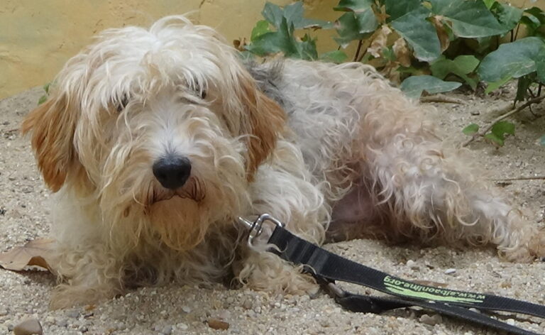 multimedia-foto52019-25-1