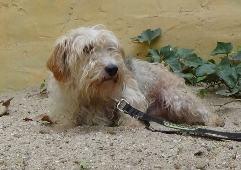 multimedia-foto52020-25-1