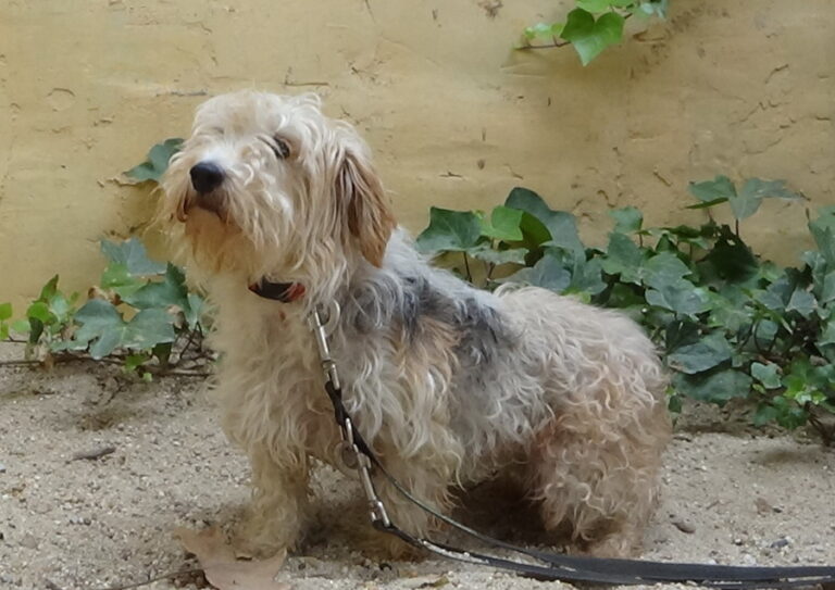 multimedia-foto52021-25-1