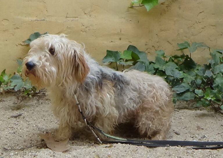 multimedia-foto52022-26-1