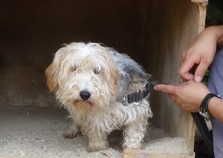 multimedia-foto52023-26-1