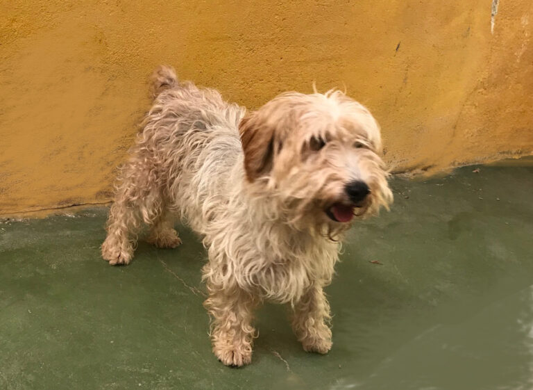 multimedia-foto52024-26-1