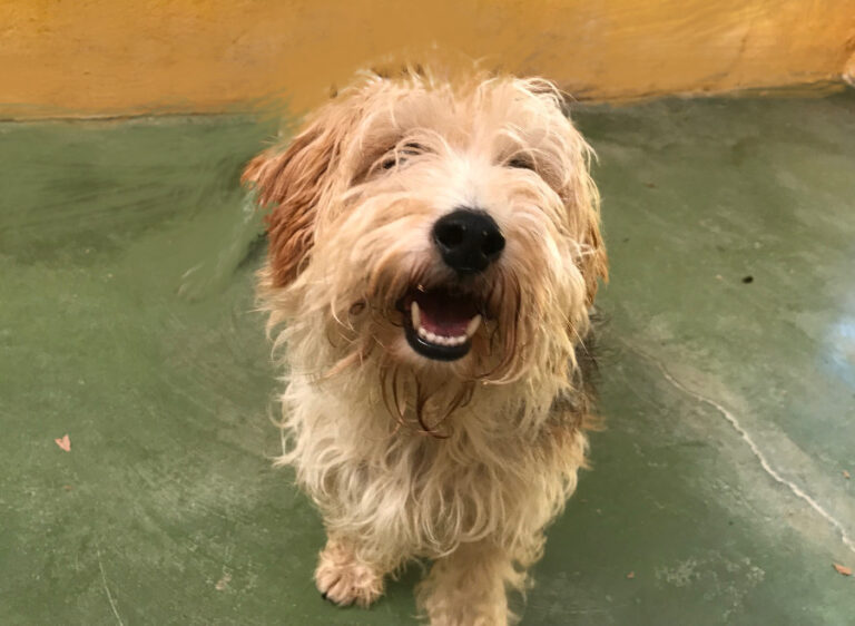 multimedia-foto52025-26-1