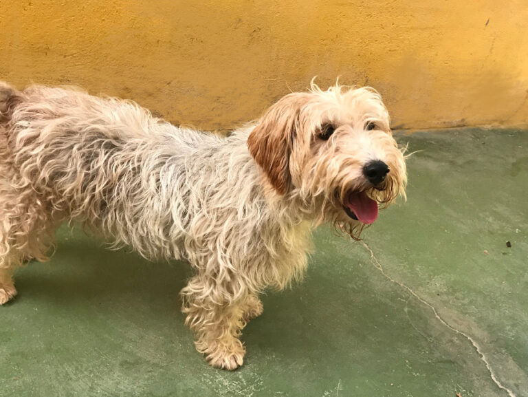 multimedia-foto52027-27-1