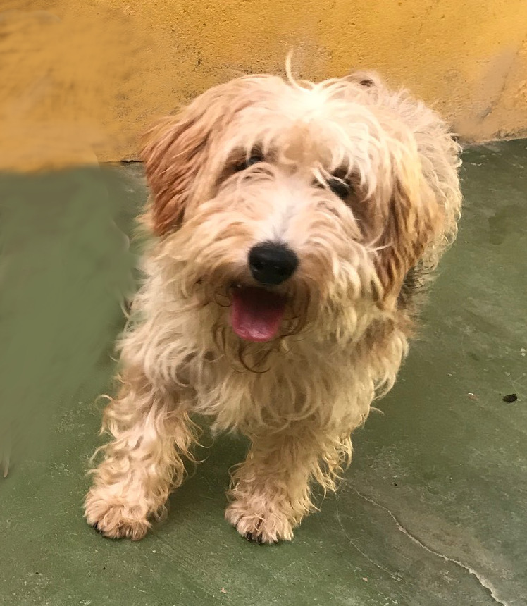 multimedia-foto52028-27-1