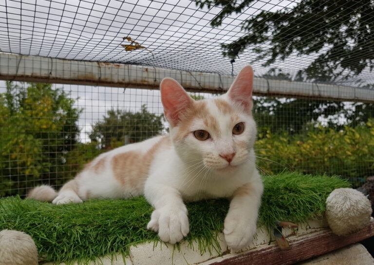 multimedia-foto52176-399-1