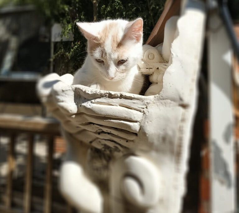 multimedia-foto52187-402-1