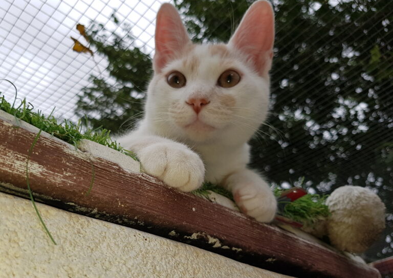 multimedia-foto52192-403-1