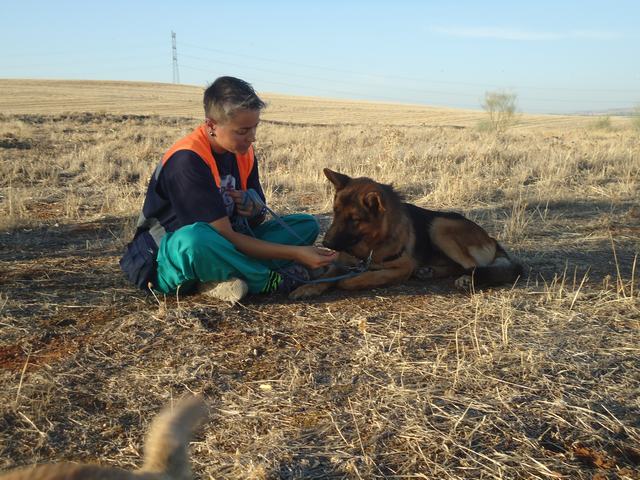 multimedia-foto52200-670-1