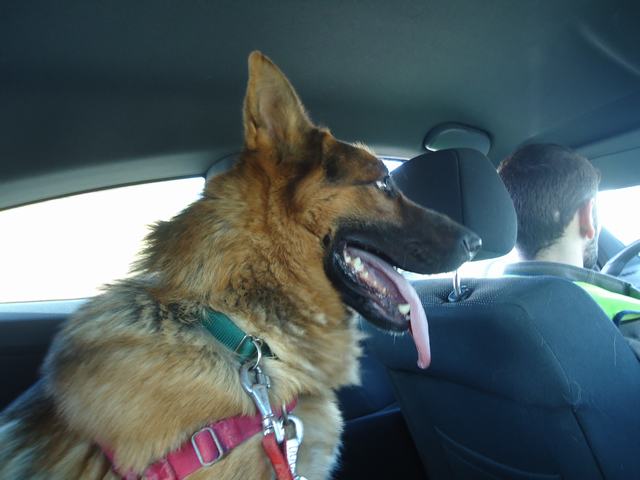 multimedia-foto52203-671-1