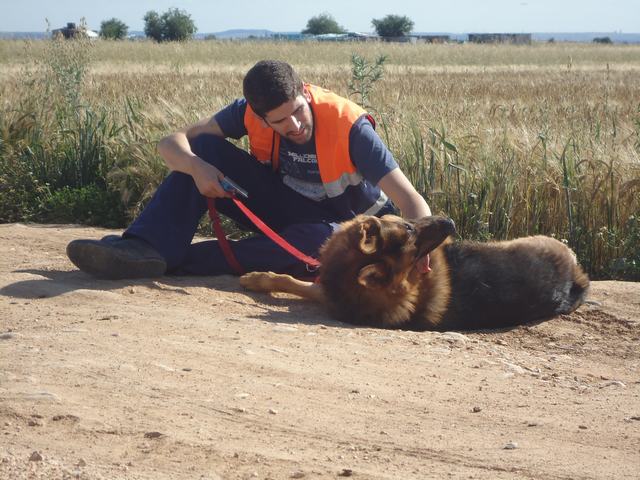 multimedia-foto52206-672-1