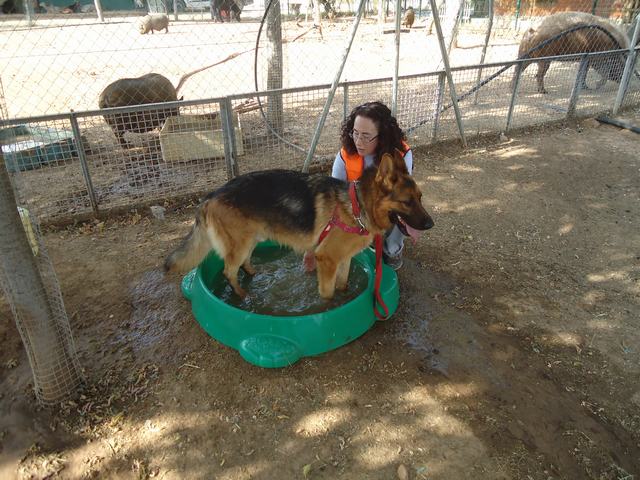 multimedia-foto52207-672-1