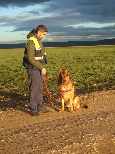 multimedia-foto52210-672-1