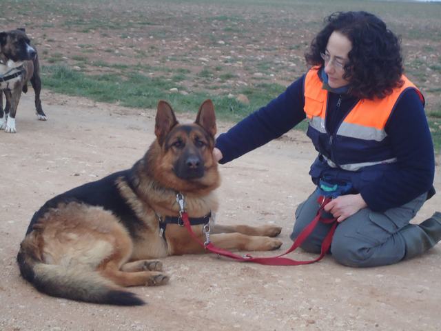 multimedia-foto52211-672-1