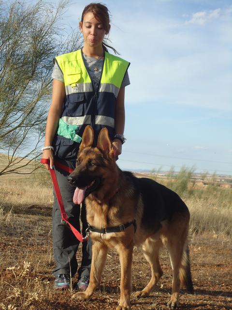 multimedia-foto52212-673-1