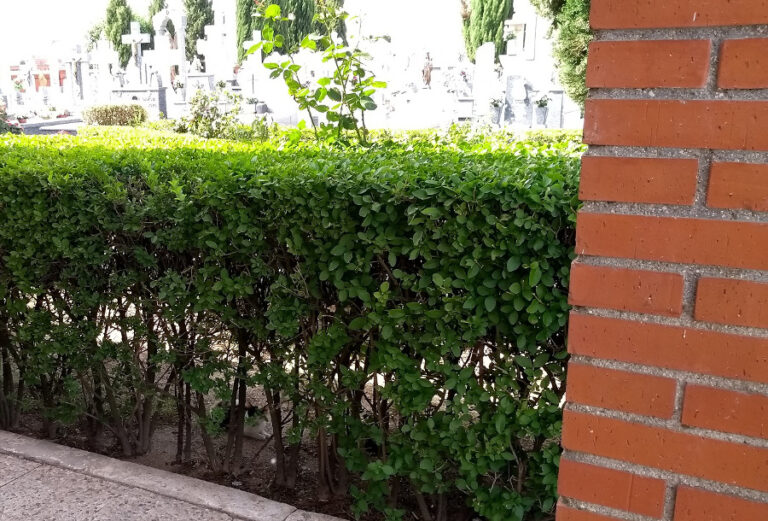 multimedia-foto52230-3-1