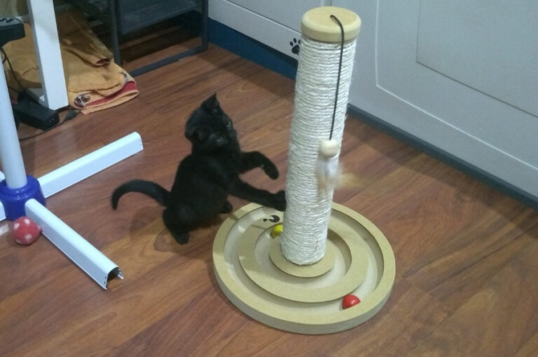 multimedia-foto52234-262-1