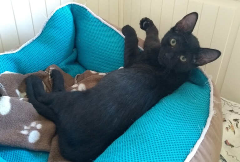 multimedia-foto52238-263-1