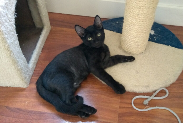 multimedia-foto52241-263-1