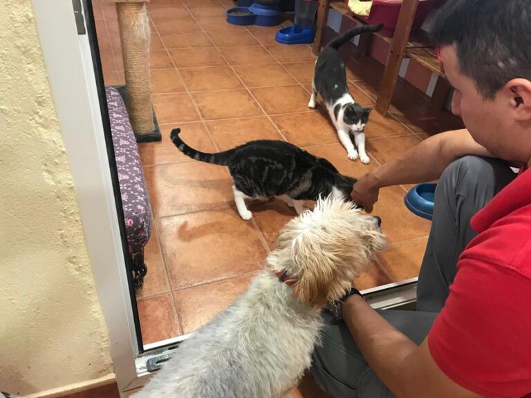 multimedia-foto52247-356-1