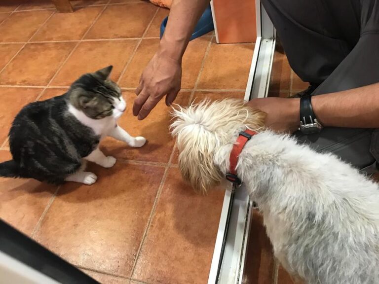 multimedia-foto52248-356-1