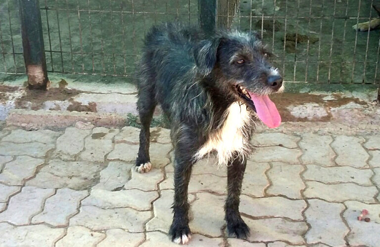 multimedia-foto52262-507-1