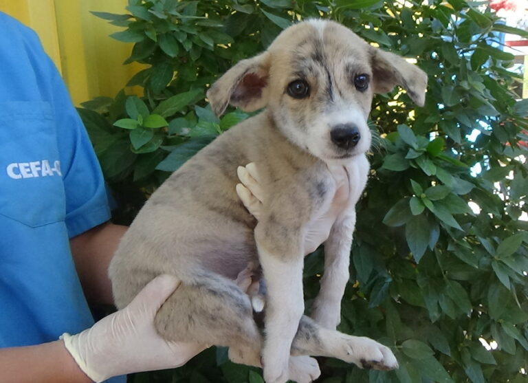 multimedia-foto52284-171-1