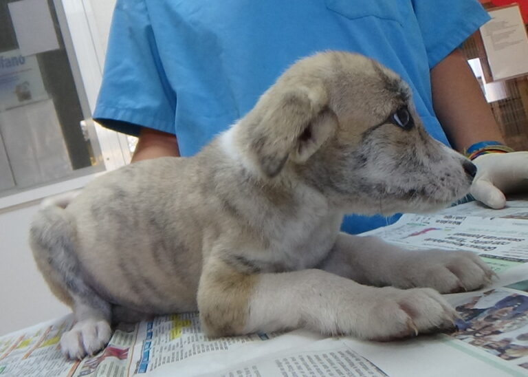 multimedia-foto52286-172-1