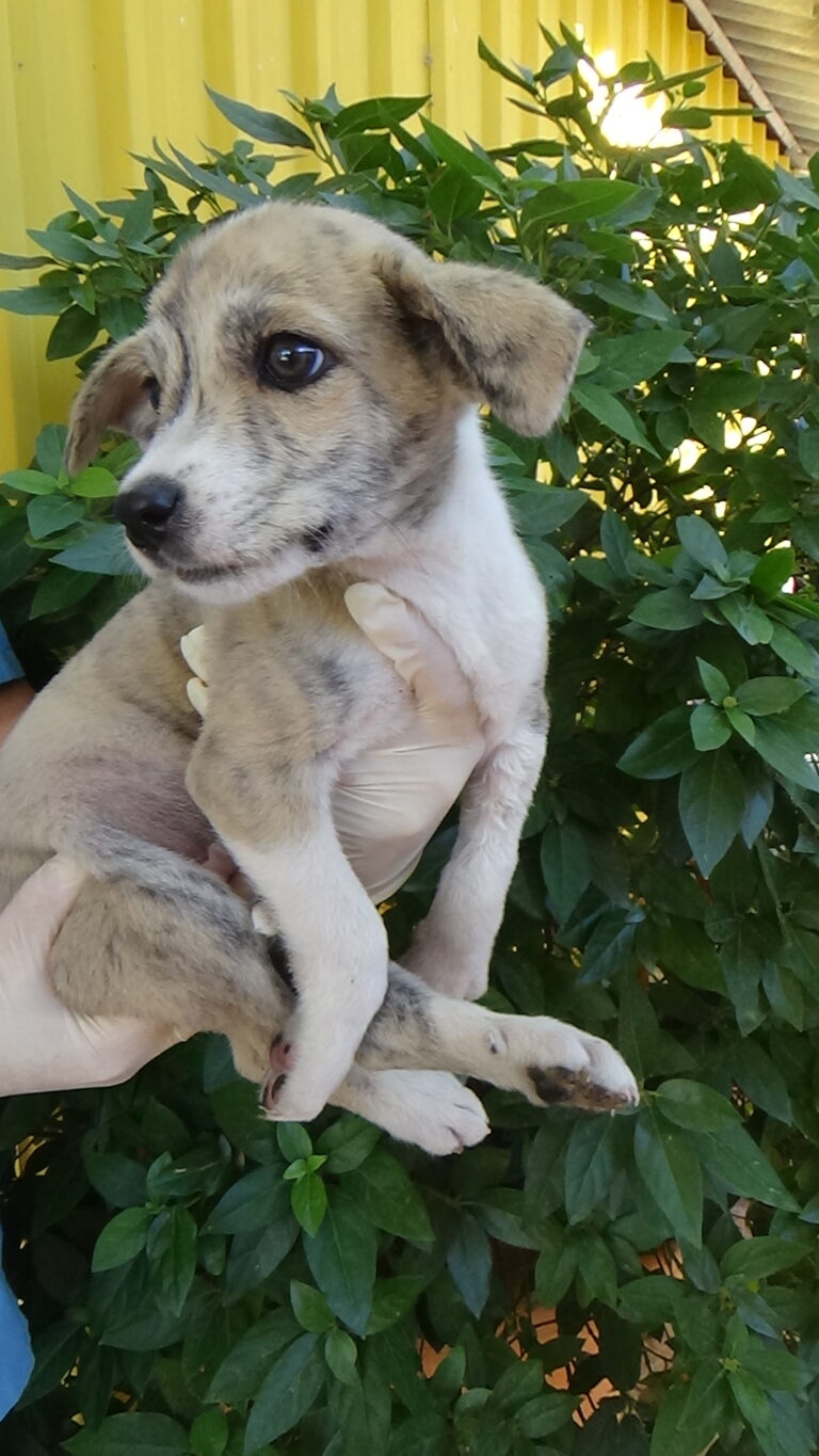 multimedia-foto52288-172-1